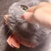 ヒメ日記 2025/02/22 19:01 投稿 湯川 真菜 人妻セレブ宮殿