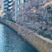 ヒメ日記 2025/03/07 17:15 投稿 湯川 真菜 人妻セレブ宮殿