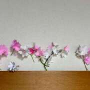 ヒメ日記 2025/03/24 12:03 投稿 湯川 真菜 人妻セレブ宮殿