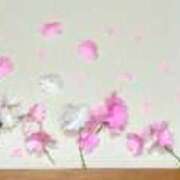 ヒメ日記 2025/03/31 12:19 投稿 湯川 真菜 人妻セレブ宮殿