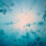 ヒメ日記 2025/09/29 09:00 投稿 湯川 真菜 人妻セレブ宮殿