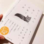 ヒメ日記 2025/10/15 09:00 投稿 湯川 真菜 人妻セレブ宮殿