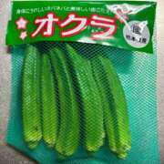 ヒメ日記 2025/10/20 19:00 投稿 湯川 真菜 人妻セレブ宮殿