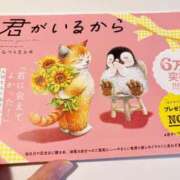 ヒメ日記 2025/11/02 09:00 投稿 湯川 真菜 人妻セレブ宮殿