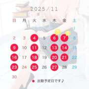 ヒメ日記 2025/11/15 19:00 投稿 湯川 真菜 人妻セレブ宮殿