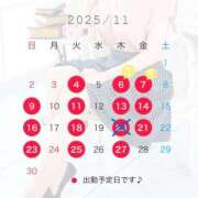 ヒメ日記 2025/11/19 09:00 投稿 湯川 真菜 人妻セレブ宮殿