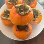 ヒメ日記 2025/11/24 19:00 投稿 湯川 真菜 人妻セレブ宮殿