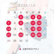 ヒメ日記 2025/11/29 19:00 投稿 湯川 真菜 人妻セレブ宮殿