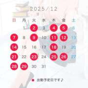 ヒメ日記 2025/12/20 20:48 投稿 湯川 真菜 人妻セレブ宮殿