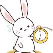 ヒメ日記 2025/04/29 00:46 投稿 ももな 丸妻 新横浜店