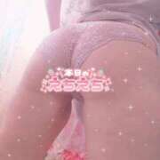 ヒメ日記 2025/09/15 11:11 投稿 ももな 丸妻 新横浜店