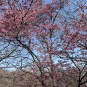 ヒメ日記 2025/03/23 17:36 投稿 あいり 大阪回春性感エステティーク谷九店