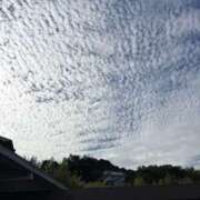 ヒメ日記 2025/09/27 15:26 投稿 あいり 大阪回春性感エステティーク谷九店