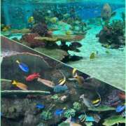 ヒメ日記 2025/10/21 21:06 投稿 あいり 大阪回春性感エステティーク谷九店