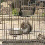 ヒメ日記 2026/02/16 13:22 投稿 あいり 大阪回春性感エステティーク谷九店