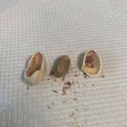 ヒメ日記 2025/02/10 20:24 投稿 みやび マリンマリン