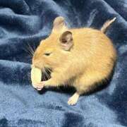 ヒメ日記 2025/12/20 20:09 投稿 みやび マリンマリン