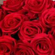 麗華(れいか) ありがとう😊💕✨✨ PLUS梅田店