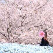 ヒメ日記 2026/04/01 08:34 投稿 のぞみ 極SPA（中洲）