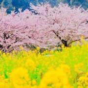 ヒメ日記 2026/04/08 08:54 投稿 のぞみ 極SPA（中洲）