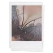 ヒメ日記 2024/12/05 10:57 投稿 戸北まいか 華女 第二章