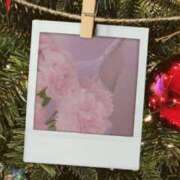 ヒメ日記 2025/03/22 10:20 投稿 戸北まいか 華女 第二章