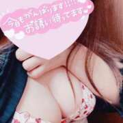 ヒメ日記 2025/04/17 15:25 投稿 かりな 完熟ばなな新宿