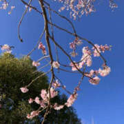 ヒメ日記 2025/04/28 17:27 投稿 さつき BAD COMPANY（バッドカンパニー）