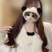 ヒメ日記 2025/03/09 11:18 投稿 天　あまね シャトールーブル