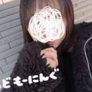 ヒメ日記 2024/12/28 12:28 投稿 かな 大阪はまちゃん日本橋店