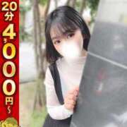 ヒメ日記 2025/03/17 06:00 投稿 かな 大阪はまちゃん日本橋店