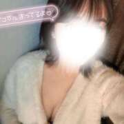 ヒメ日記 2026/02/01 11:27 投稿 かな 大阪はまちゃん日本橋店