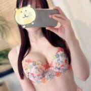 ヒメ日記 2025/03/20 07:01 投稿 翠 琥珀（こはく）