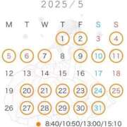 ヒメ日記 2025/04/10 07:00 投稿 翠 琥珀（こはく）