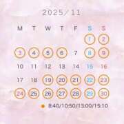 ヒメ日記 2025/10/15 06:30 投稿 翠 琥珀（こはく）