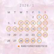 ヒメ日記 2025/12/13 18:30 投稿 翠 琥珀（こはく）