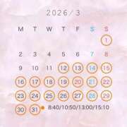 ヒメ日記 2026/02/19 14:25 投稿 翠 琥珀（こはく）