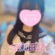 ヒメ日記 2025/02/20 18:01 投稿 ルイナ エピソード(品川)