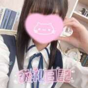 ヒメ日記 2025/04/21 18:01 投稿 ルイナ エピソード(品川)