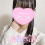 ヒメ日記 2025/07/04 12:16 投稿 ルイナ エピソード(品川)