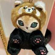 ヒメ日記 2025/01/06 00:04 投稿 あいか マリン熊本本店