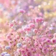 ヒメ日記 2025/11/27 17:24 投稿 あいか マリン熊本本店