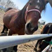 ヒメ日記 2025/04/28 14:05 投稿 こころ（巨乳・癒し系・桃尻） ソープランド ラ・メイド neo