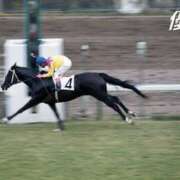 ヒメ日記 2025/06/13 12:20 投稿 こころ（巨乳・癒し系・桃尻） ソープランド ラ・メイド neo