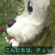 ヒメ日記 2025/10/10 10:14 投稿 こころ（巨乳・癒し系・桃尻） ソープランド ラ・メイド neo