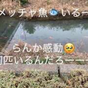 らんか 本日最終日❤️❤️ 木更津人妻花壇