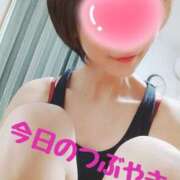 ヒメ日記 2024/12/12 08:10 投稿 なつ スイカ