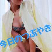 ヒメ日記 2024/12/14 15:15 投稿 なつ スイカ