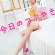 ヒメ日記 2024/12/18 08:52 投稿 なつ スイカ