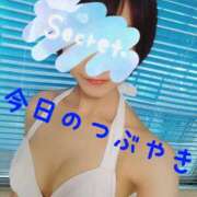 ヒメ日記 2024/12/19 22:10 投稿 なつ スイカ